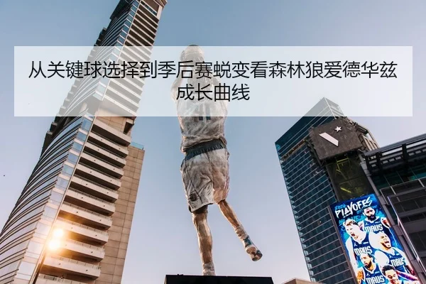 从关键球选择到季后赛蜕变看森林狼爱德华兹成长曲线